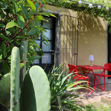 Amazing Langhe And Monferrato | House With Garden Villa Calamandrana Luaran gambar