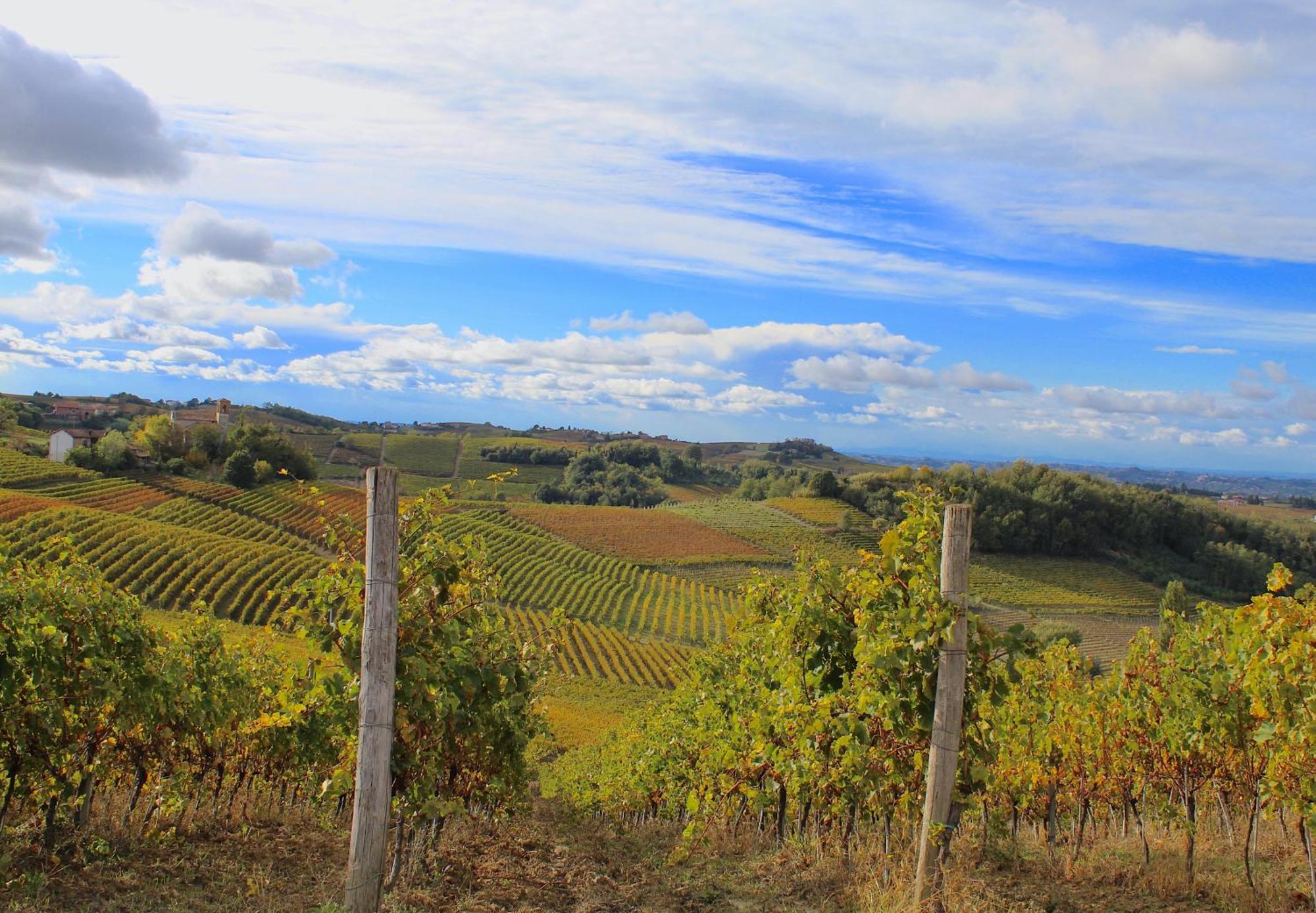 Amazing Langhe And Monferrato | House With Garden Villa Calamandrana Luaran gambar